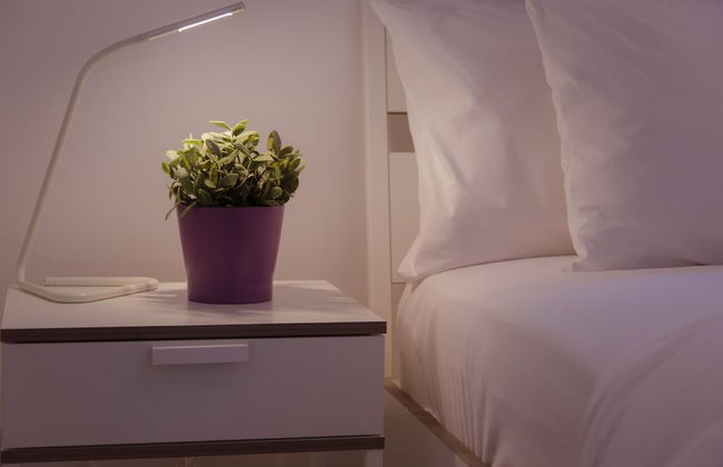 Shenkin Vilmar Apartments - Foto 13