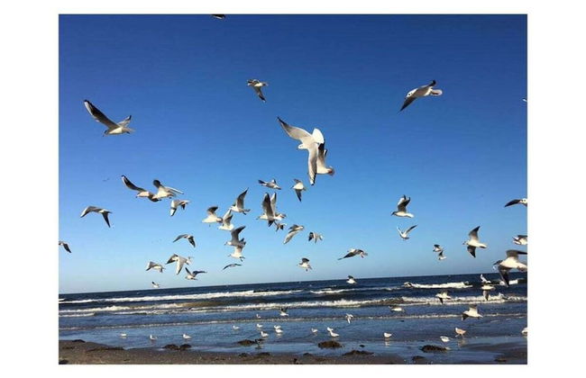 Time out Karlshagen Comfortable Vacation Home - Foto 15