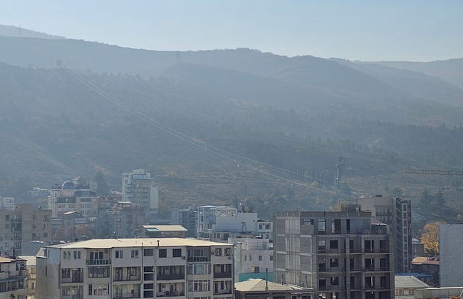 Archi chavchavadze one bedroom - Foto 41