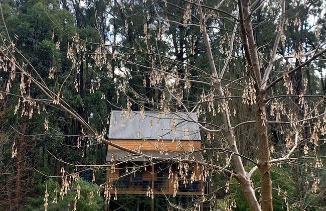 Noble River Estate - Photo 62