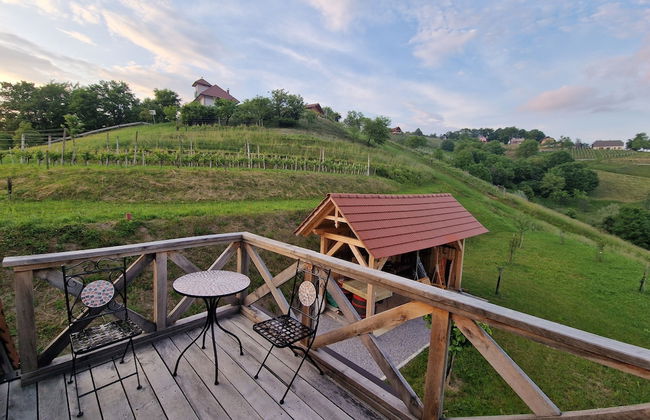 Vineyard cottage Vinska grajska kašča - Foto 20