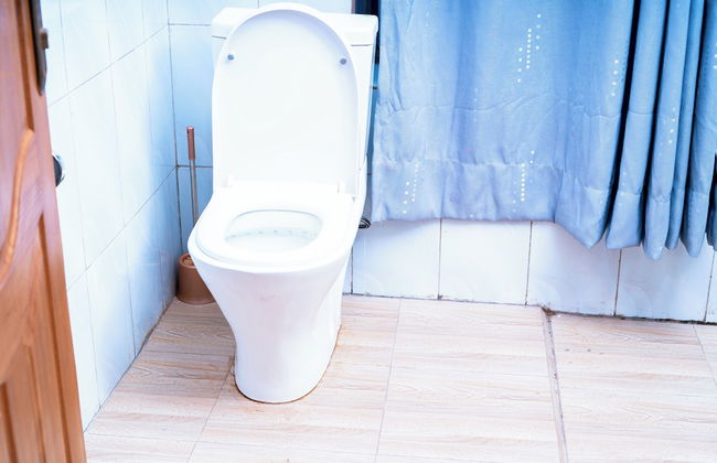 Kadoo Travels - Foto 20