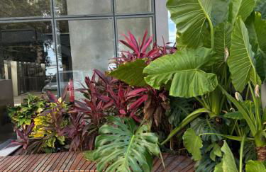 Alive View - Photo 24