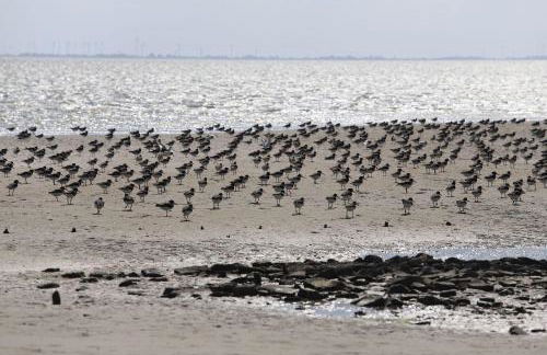Ferienwohnung Bunte Kuh Wangerooge - Foto 23