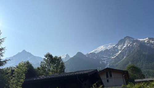 Face au MtBlanc avec jardin - Foto 2