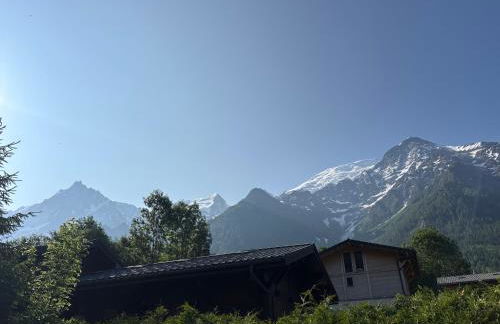 Face au MtBlanc avec jardin - Foto 2