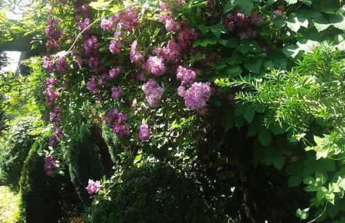 Haus Wagner - Foto 27