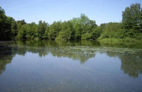 Bei Oparius wohlfühlen - Foto 30