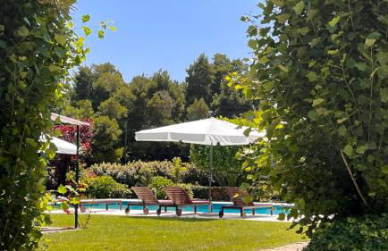 Feel Discovery Casa Da Capela Douro Valley - Foto 26