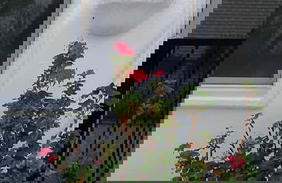 Emelce Aparts - Foto 32