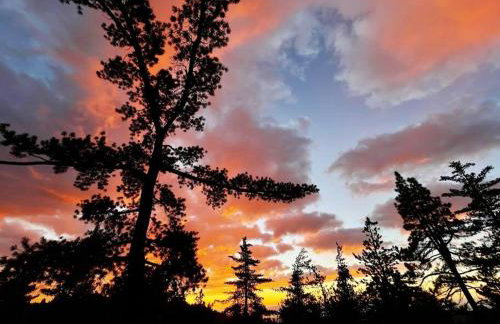 Dog Friendly A-frame Hot Tub Nature Views - Foto 11