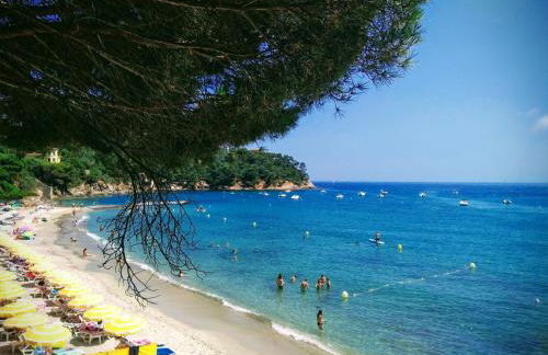 Les Stoechades - Foto 34