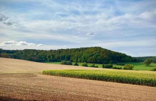 Apartment in Twistetal Oberwaroldern - Photo 46