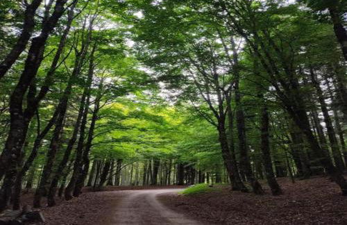 Rustic Holiday Home in Ortignano with Swimming Pool - Foto 68