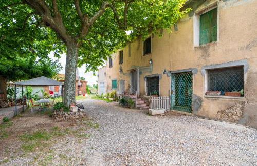 Mas Guineu - Foto 19