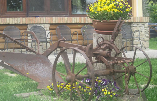 Agriturismo le Spighe - Fattoria Bertaccini - Foto 94