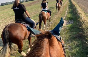 Baba Jagna - Foto 72