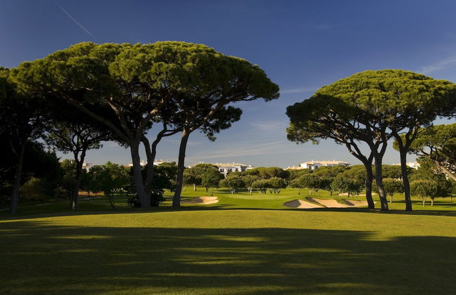 Pine Cliffs Gardens - Foto 42