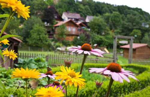 Ferienhaus Buren-Hof - Foto 41