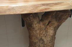 Segredos da Montanha - Seia - Foto 28