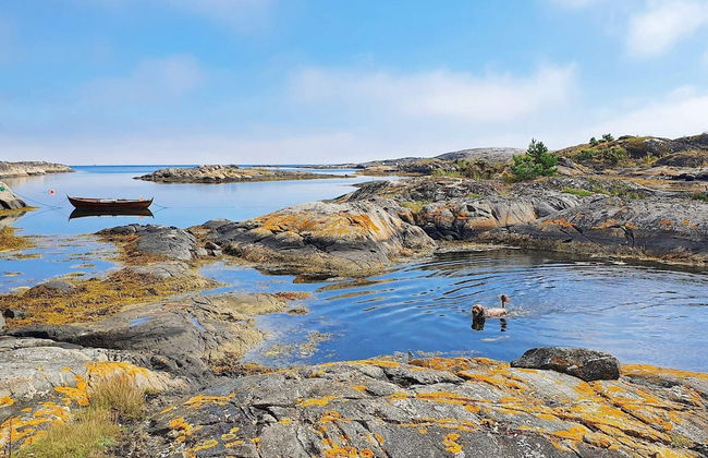 8 Person Holiday Home in Risor-by Traum - Foto 23