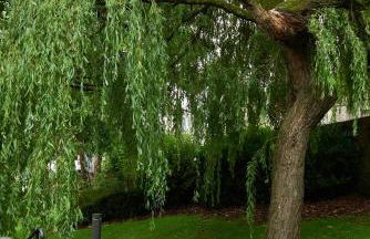 Luxury Old Town Apartment just a 5 Minute Walk to Stirling Castle - Foto 31