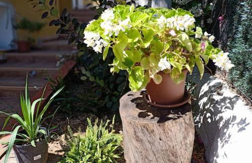 VILLA FALCONERA APARTAMENTS, GANDIA a las faldas de la montaña RELAX & PETS - Foto 33