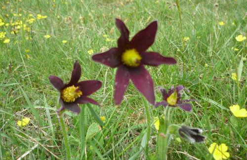 Le Domaine De Fonteline - Foto 9