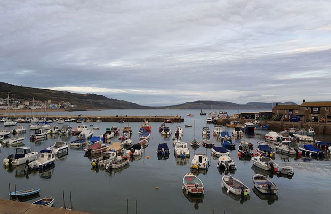 3 Bedroom Cottage - Hot Tub, Garden, Parking - Foto 31