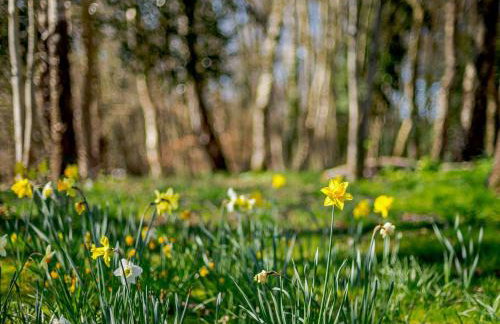 4 Bed in West Holme DC204 - Photo 17