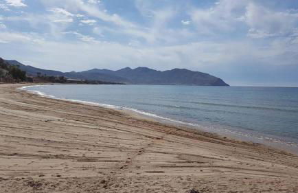 La Mojonera - Foto 41