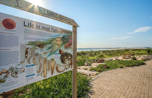 Fork West Apartments - Top Floor 1 - Foto 26