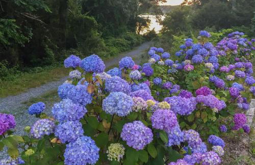 Stunning Home with In-Ground Pool - Photo 48