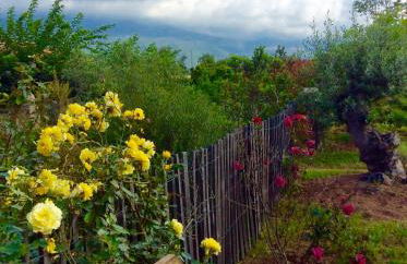 Clos Simoni - Foto 8