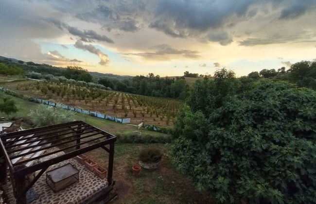 La Nocciolaia - Photo 37