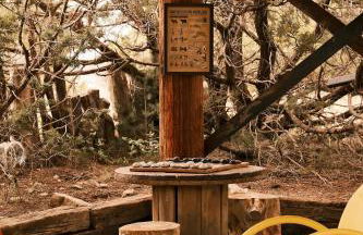 Crows Nest Treehouse At El Mistico Ranch - Foto 10