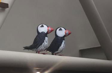 Haven Haggerston castle caravan hire - Foto 17