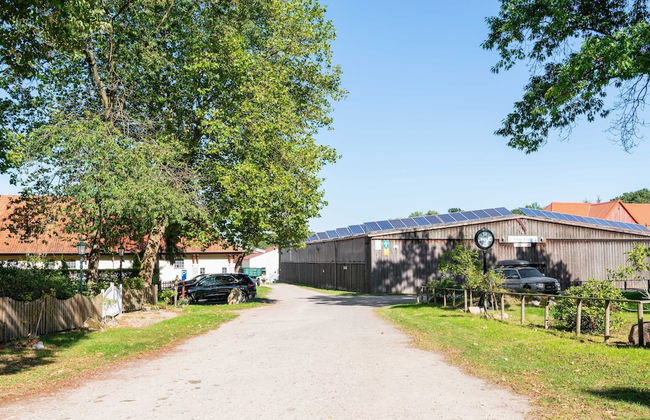 Ferienhaus in Eschede - Photo 56