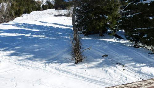 Accès direct pistes La Clusaz, 3 pièces, animaux acceptés - FR-1-304-151 - Foto 3