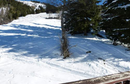 Accès direct pistes La Clusaz, 3 pièces, animaux acceptés - FR-1-304-151 - Foto 3