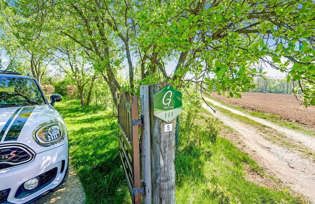 Holiday Home in Porcheresse Daverdisse - Photo 30