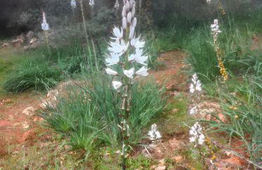 Comfortable House in Estepa with Shared Pool - Photo 19