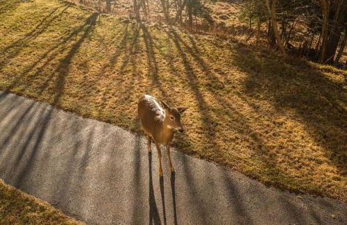 Cozy Condo at Summit - Foto 17