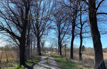 UsedomTor 1720 FeWo II - Foto 49