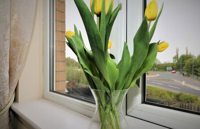 Wilkie House Holytown - Photo 20