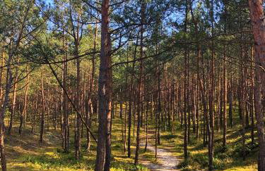 Apartament z prywatnym tarasem na dachu Ogień 8 Jurata - Foto 25