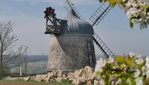 Windmühle Tultewitz - Foto 3