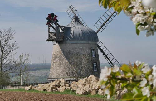Windmühle Tultewitz - Foto 3