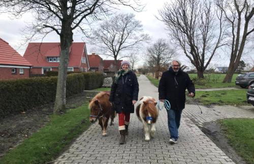 Minsener Warft - Photo 50