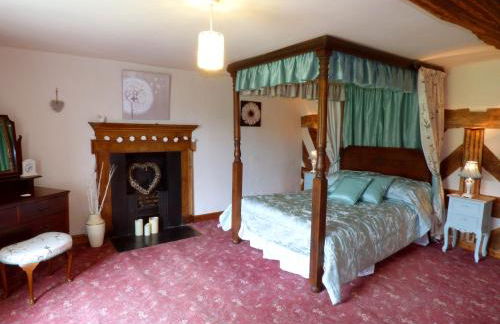 Arllen Fawr - Foto 11